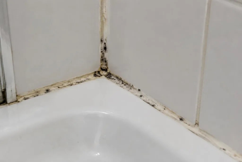 Kitbedrijf Uden – beschimmelde kitranden